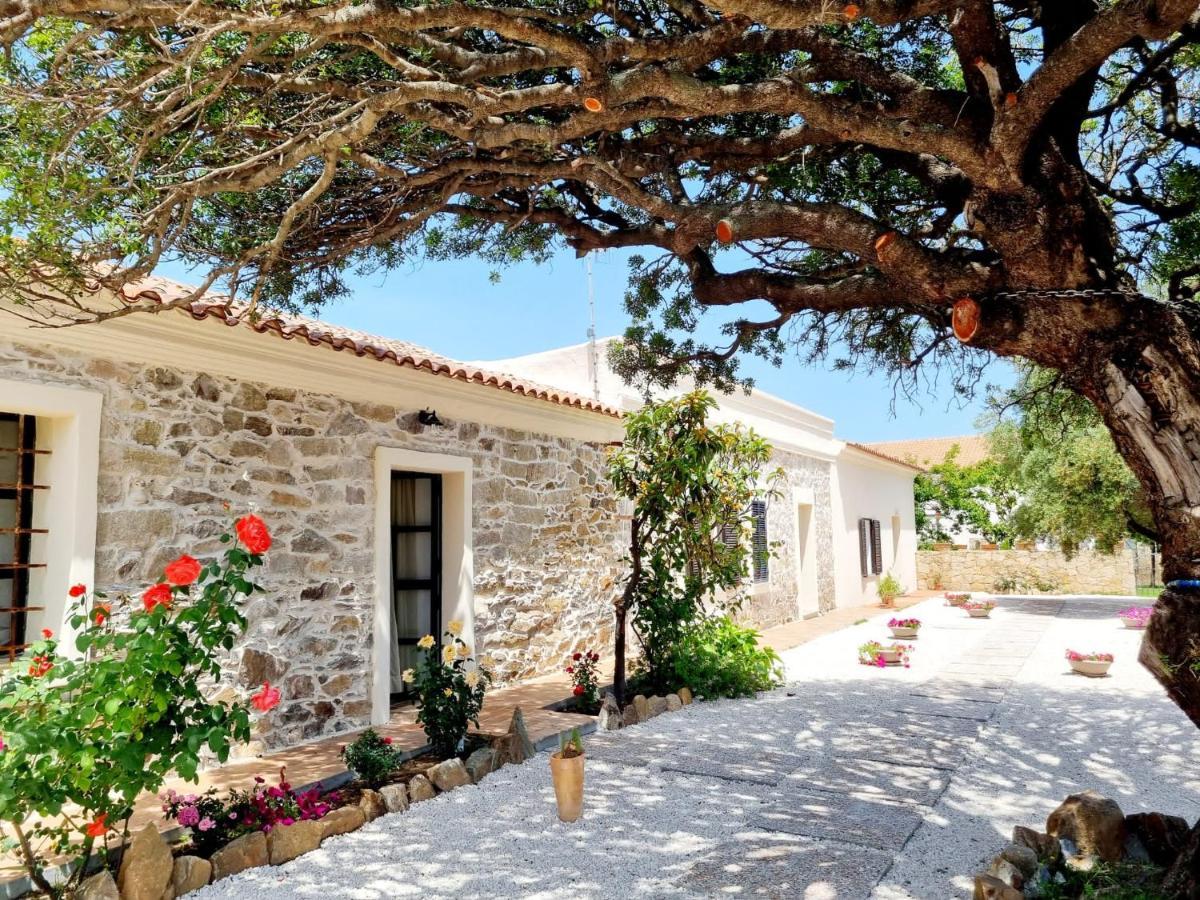 Stazzo San Teodoro La Quercia Piscina Condivisa San Teodoro (Sardinia) Exterior foto